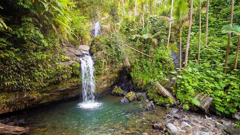 Juan Diego瀑布位于波多黎各的el Yunque雨林